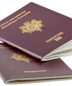 French passport