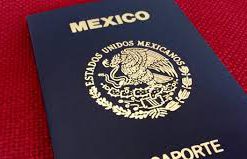 Mexican passport online