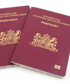 Netherlands passport online
