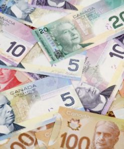 fake Canadian dollars