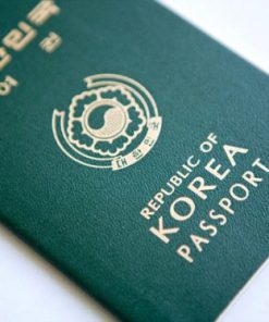 South Korean passport online
