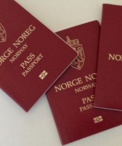 Norwegian passport online