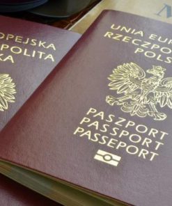 Polish passport online